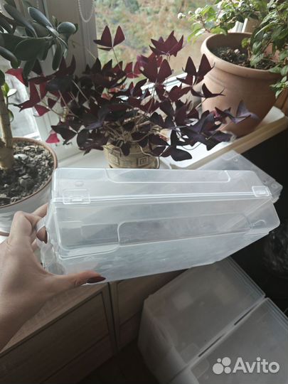 Коробки для хранения обуви