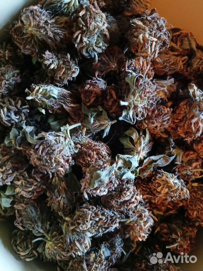 Чай прессованный с клевером, с репейником