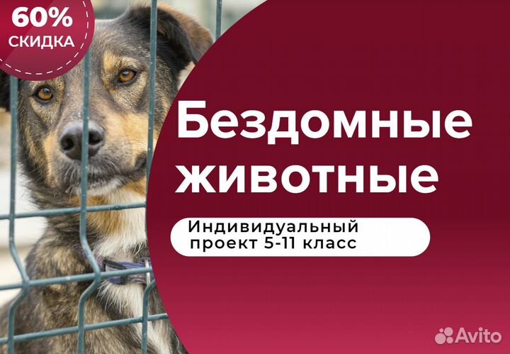 Индивидуальный проект 5-11 класс