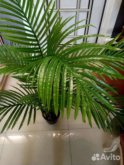 Искусственная пальма