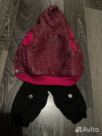 Одежда для маленькой собачки