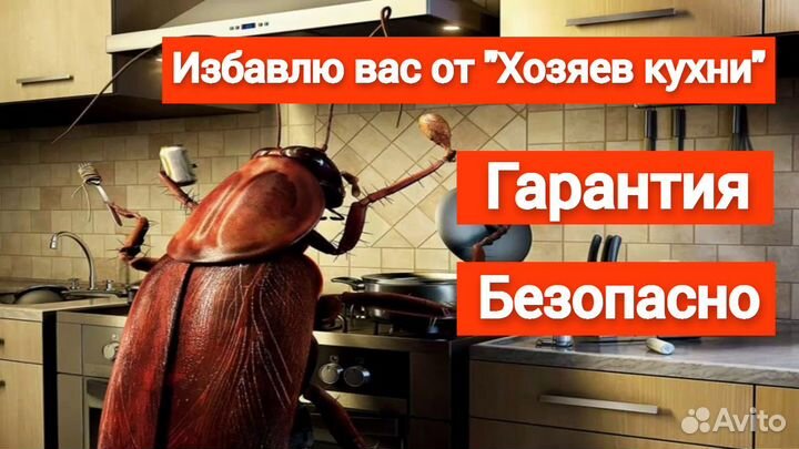 Уничтожение тараканов,клопов,мышей,плесени,запахов