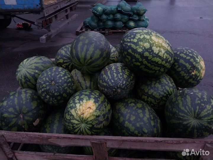 Арбуз оптом и розница