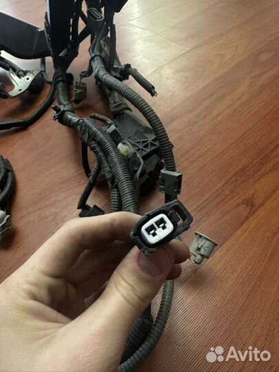 Проводка Toyota Camry, штекеры