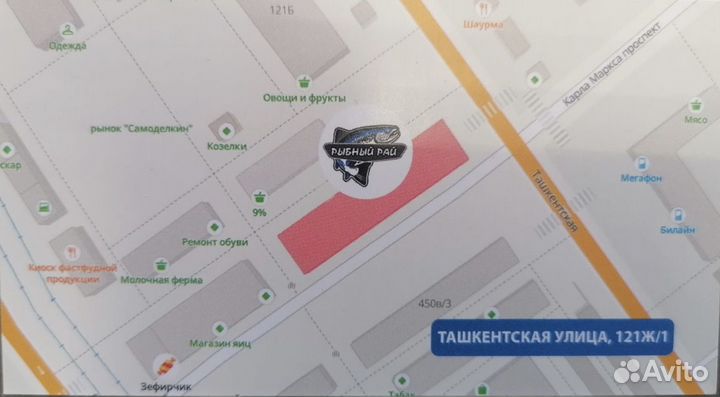 Рыба раки креветки