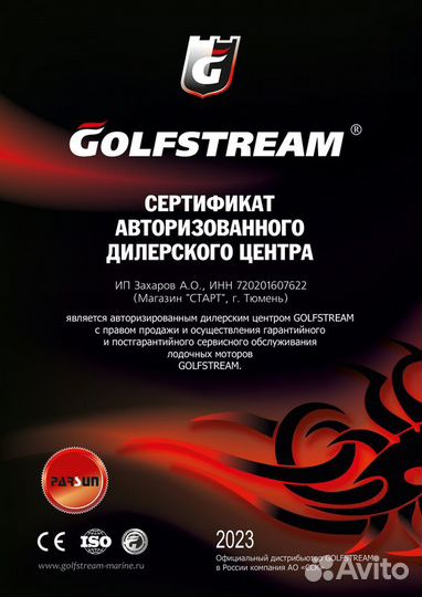 Лодочный мотор Golfstream T9.9BMS USB