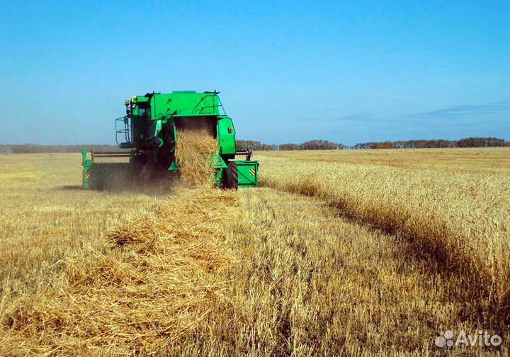 Разбрасыватель соломы Омский Экспериментальный Завод Tornado, 2023