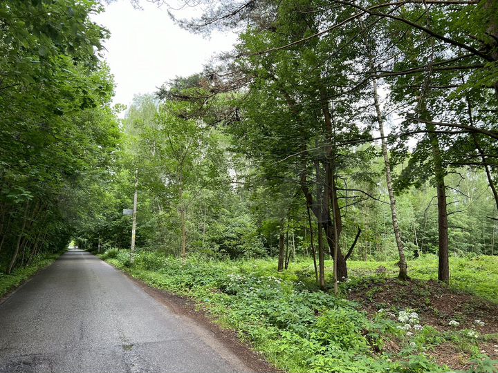 Участок 49,4 сот. (ИЖС)