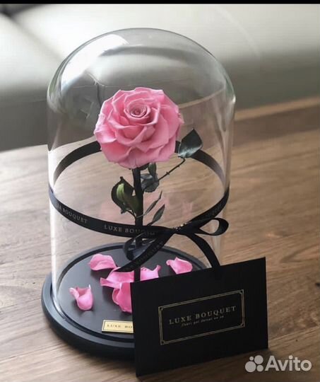 Роза в колбе