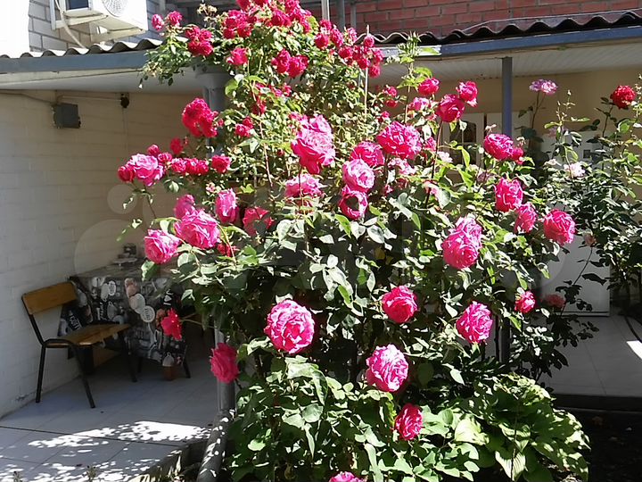 Комната 11 м², 1/2 эт.