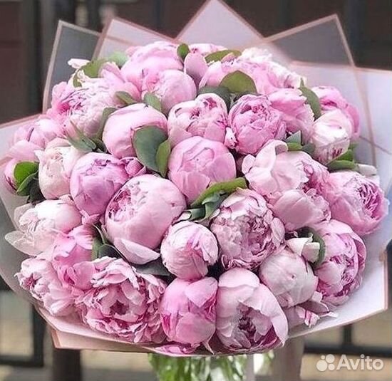 Пионы Розы Доставка