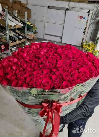 Розы Высокие 150см 160см 170см 180см 190см 2м