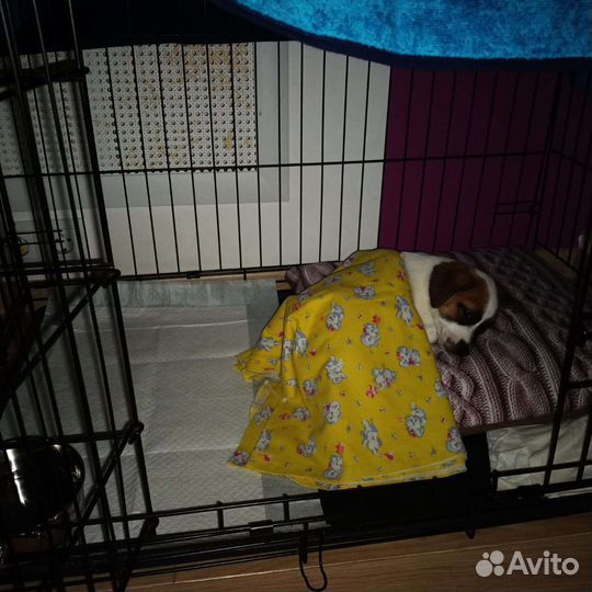 Вольер для собак в квартиру бу