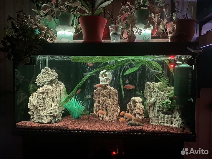 Продам аквариум