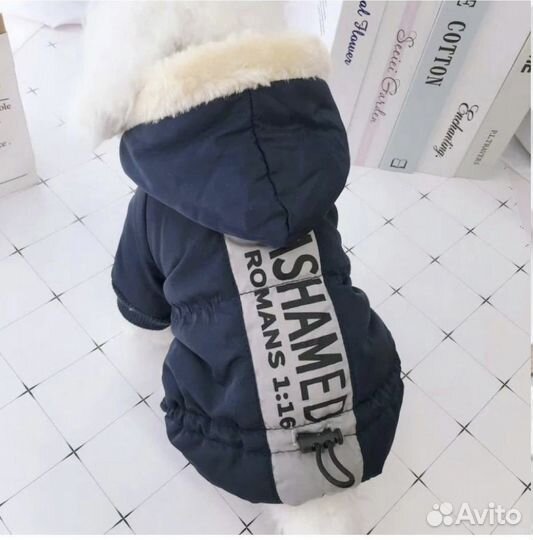 Комбинезон для собак