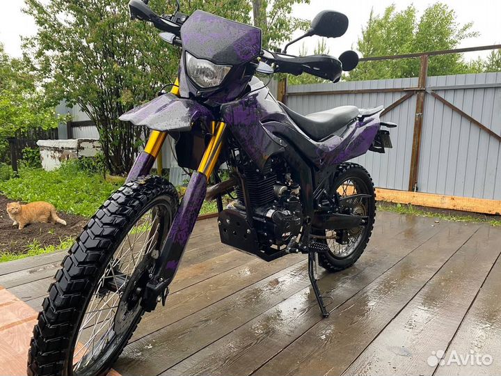 Minsk X250