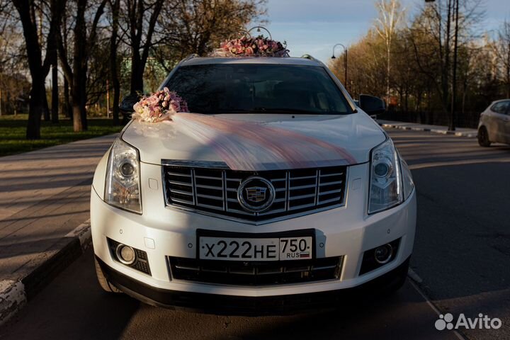 Аренда автомобиля