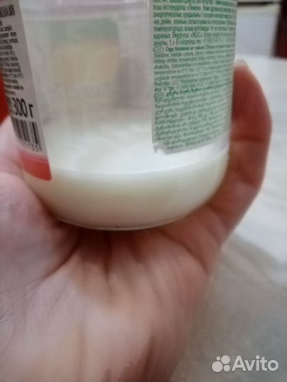 Кефирный гриб