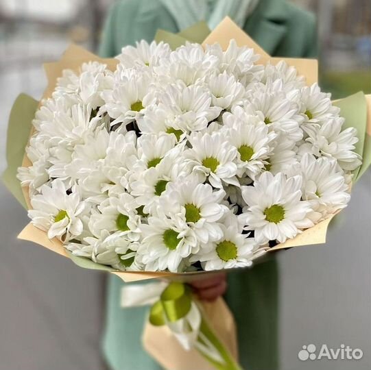 Хризантема. Букеты Цветы доставка