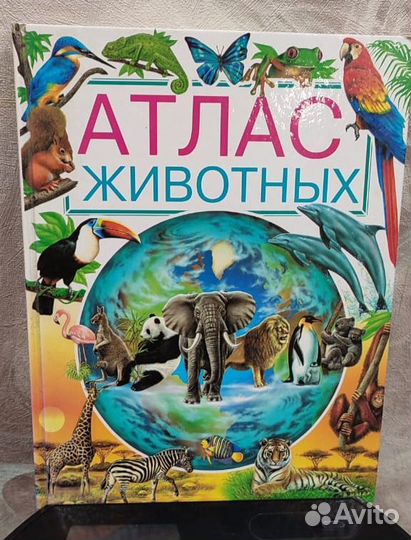 Детская книга, обучающая литература