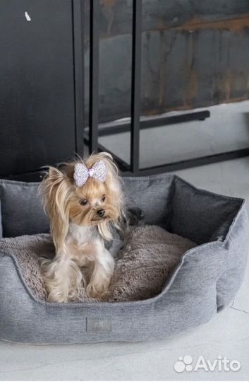 Лежанка для животных