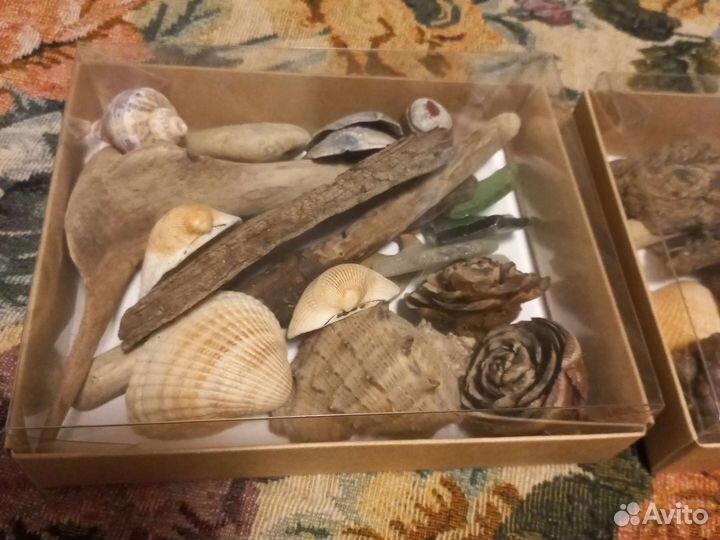 Набор для творчества из природных материалов