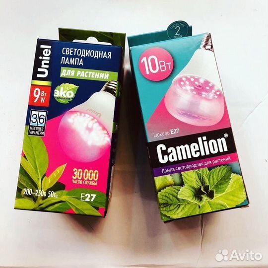 Лампы разных моделей и цоколя