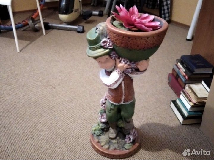 Цветок комнатный - юкка нинт