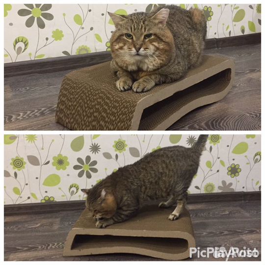 Когтеточка-лежанка для кошек