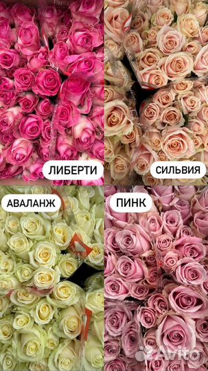 Свежие розы оптом Пятигорск