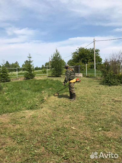 Покос травы