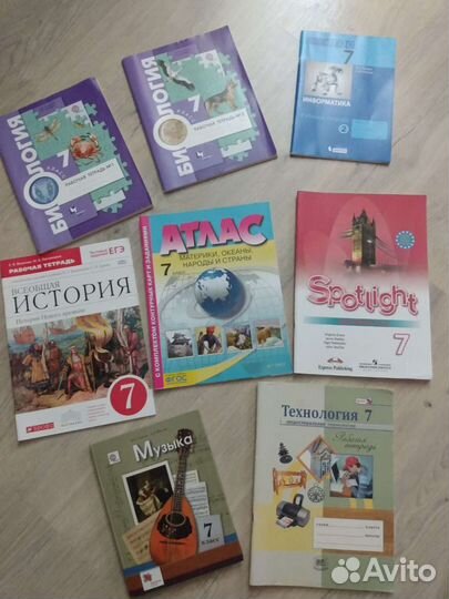 Новые рабочие тетради 7 класс (цена за всё)