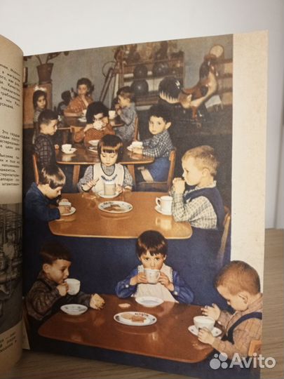 Молочная пища