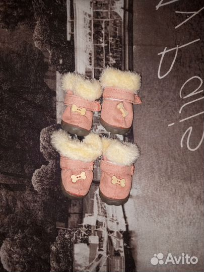 Ботинки для собачки