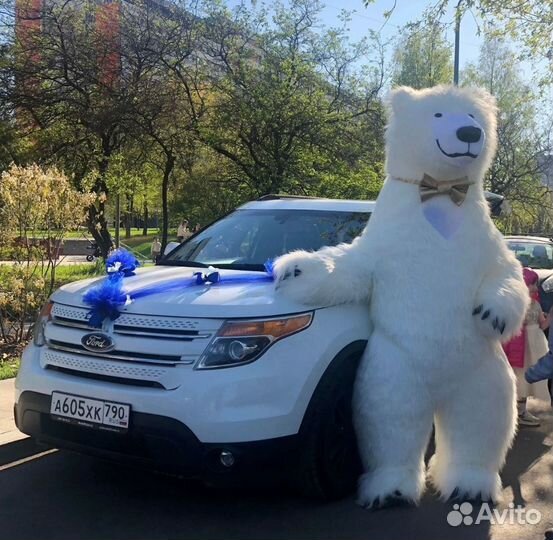 Гипсофила Доставка цветов букеты