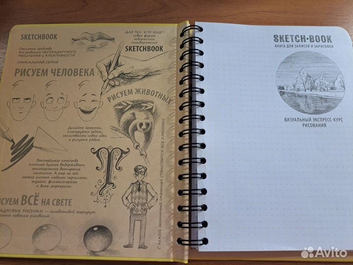 SketchBook: Визуальный экспресс-курс по рисованию