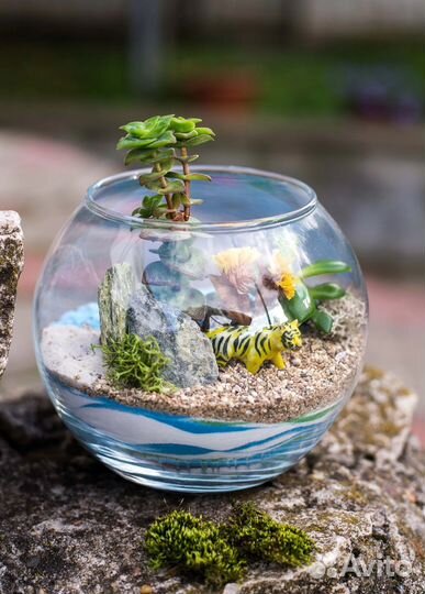 Флорариум с тигром и живыми суккулентами