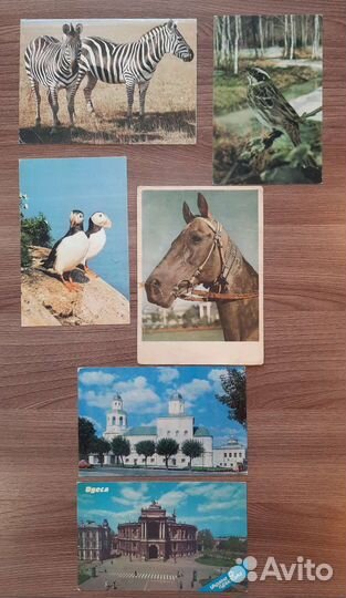 Открытки СССР