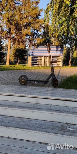 Ninebot kickscooter max g30p