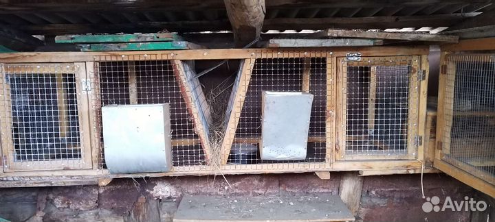 Клетка для кроликов