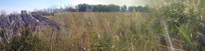 Участок 11,5 га (СНТ, ДНП)