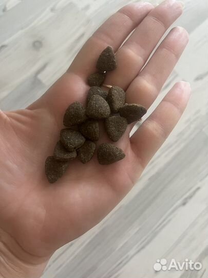 Корм для собак monge