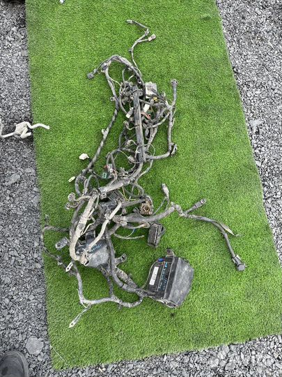 Проводка Киа рио 3 МКПП механика