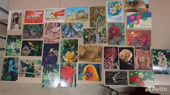 Открытки СССР