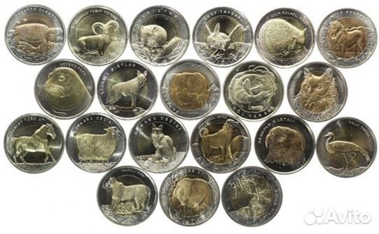 Монеты Турции: новинка 2022