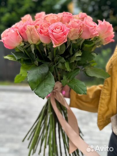 Роза персиковая букет 51 шт.Доставка