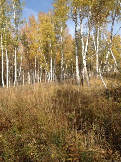 Участок 7 сот. (СНТ, ДНП)