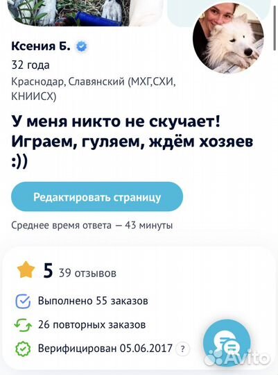 Передержка собак разных пород