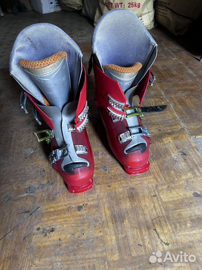 Горнолыжные ботинки