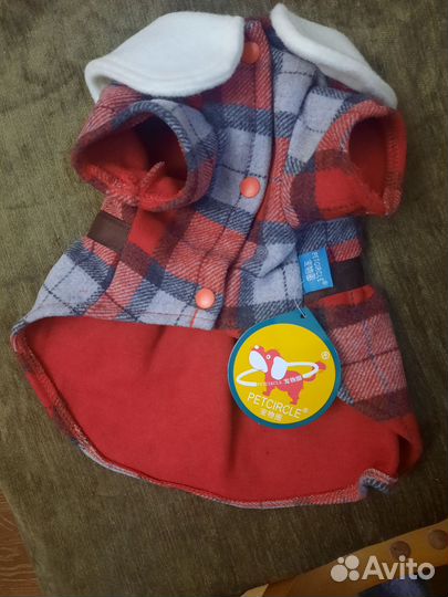 Платье для собаки S, трусы